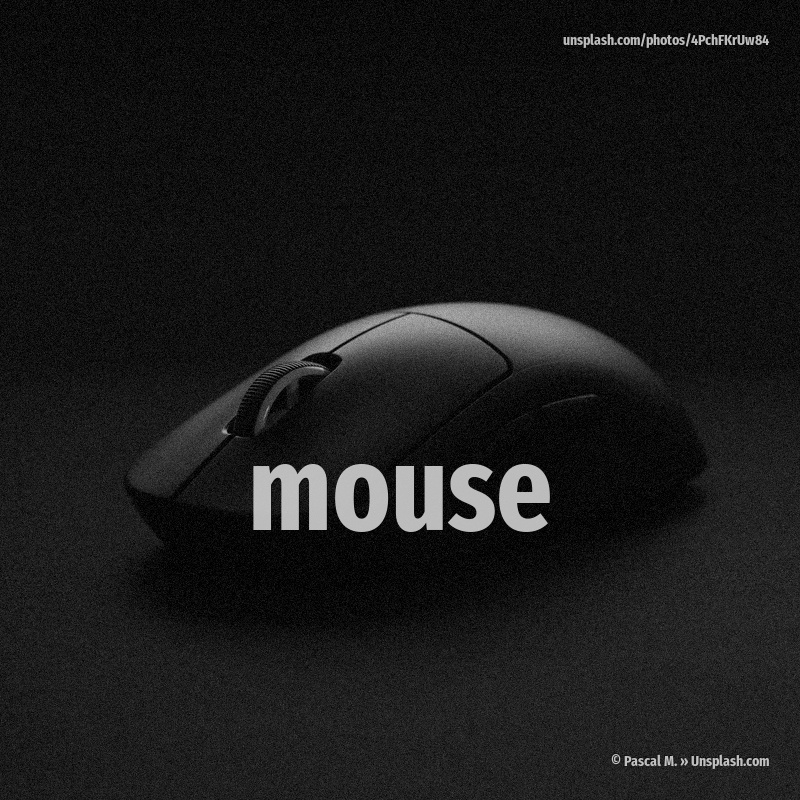 mouse