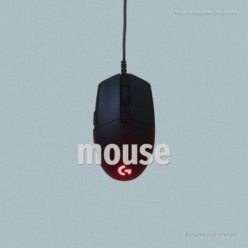 mouse